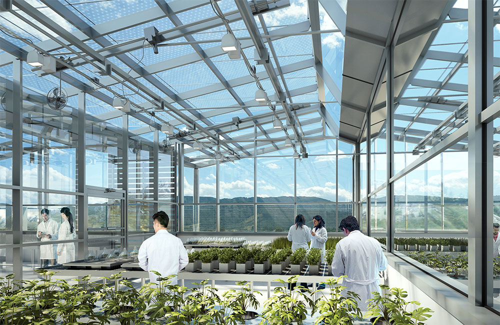 Image 4. Rendering showing interior view of a greenhouse lab where rows of small plants are neatly arranged on top of long tables and examined by lab workers.